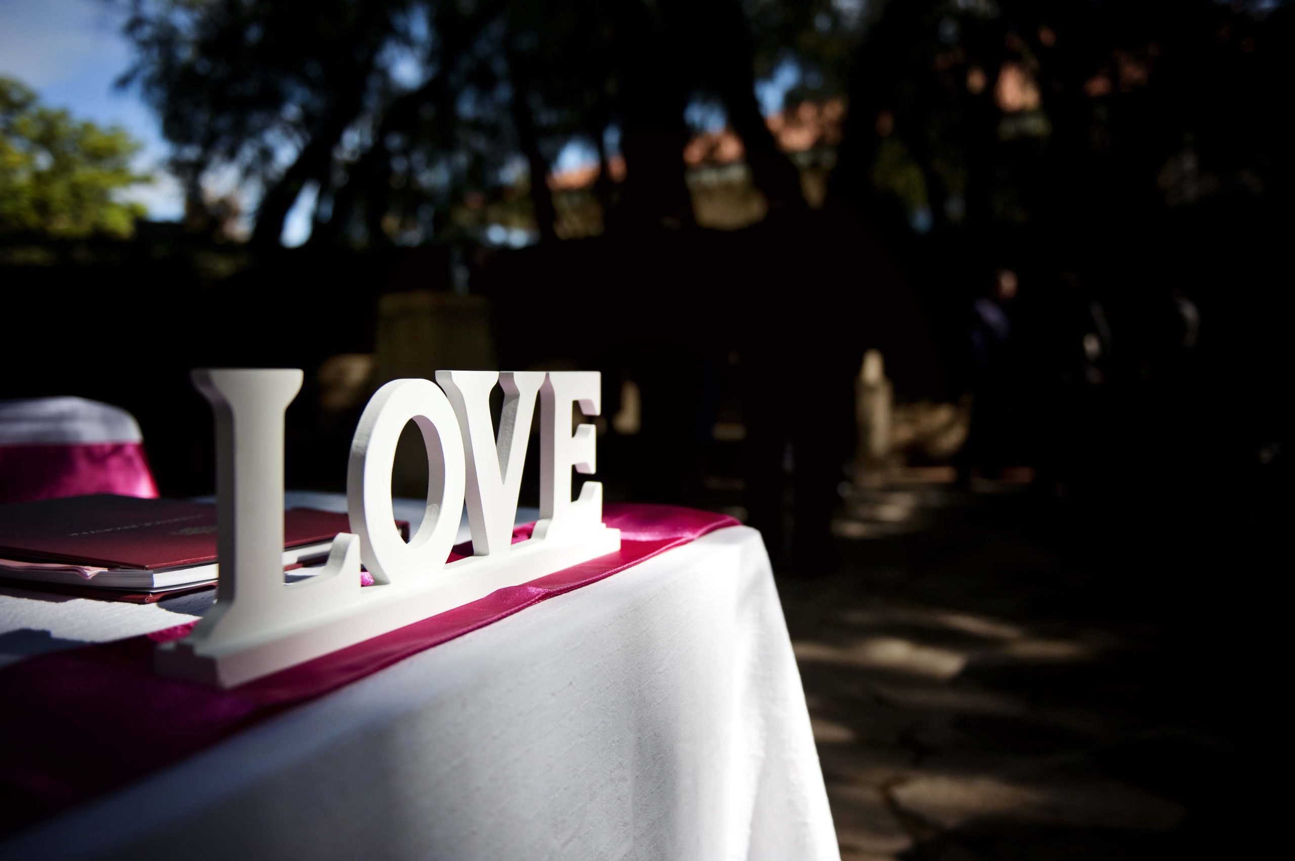 Naomi & Steven – Married In Sittella Winery